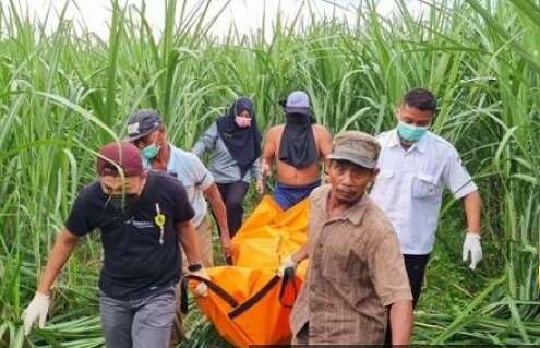 Polisi Bondowoso mengevaluasi jenazah kakek 63 tahun di kebun tebu Kecamatan Tapen yang sebelumnya pamit mencari rumput.(Foto: Humas Polres Bondowoso)