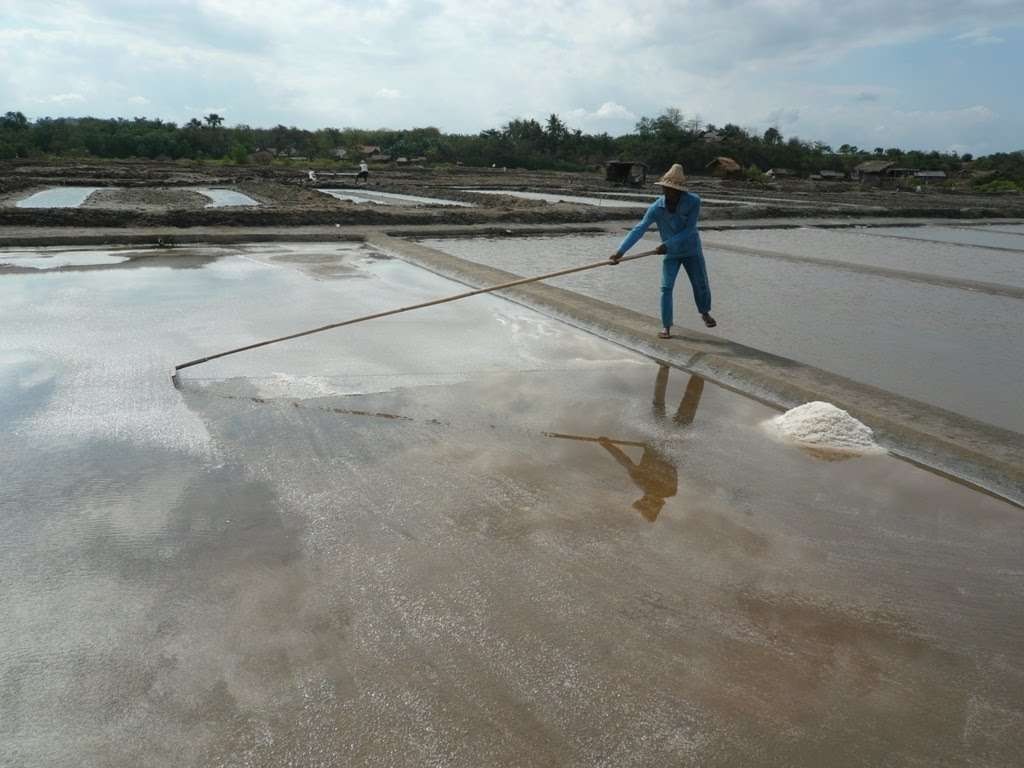 Petani di Kabupaten Probolinggo sedang mengolah petak tambaknya untuk menghasilkan garam. (Foto: Ikhsan Mahmudi/Ngopibareng.id)