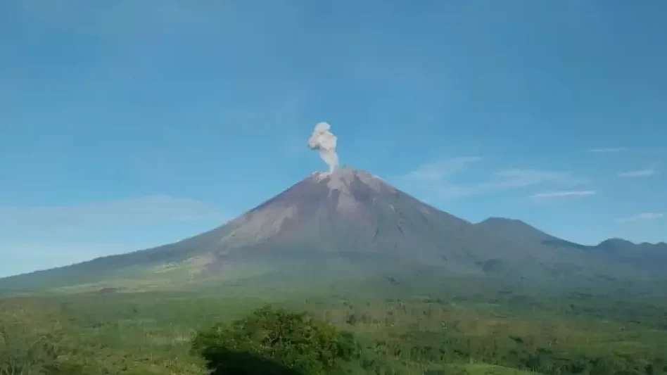 PVMBG melaporkan telah terjadi erupsi yang mengeluarkan abu vulkanik setinggi 800 meter dari pusat kawah Gunung Semeru. (Foto: PVMBG)