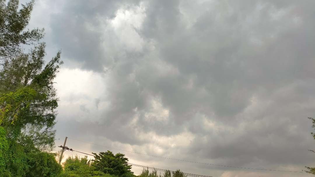 Prakiraan cuaca di Kota Surabaya, mulai berawan hingga hujan petir, Selasa 13 Februari 2024. (Foto: Yasmin Fitrida/Ngopibareng.id)