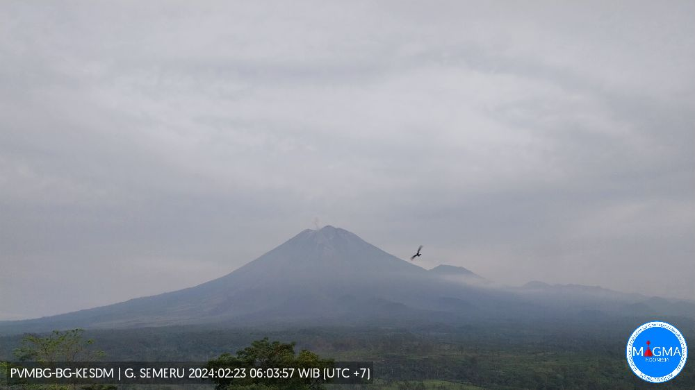 Gunung Semeru alami erupasi pada Jumat 23 Februari 2023. (Foto: magma.esdm)
