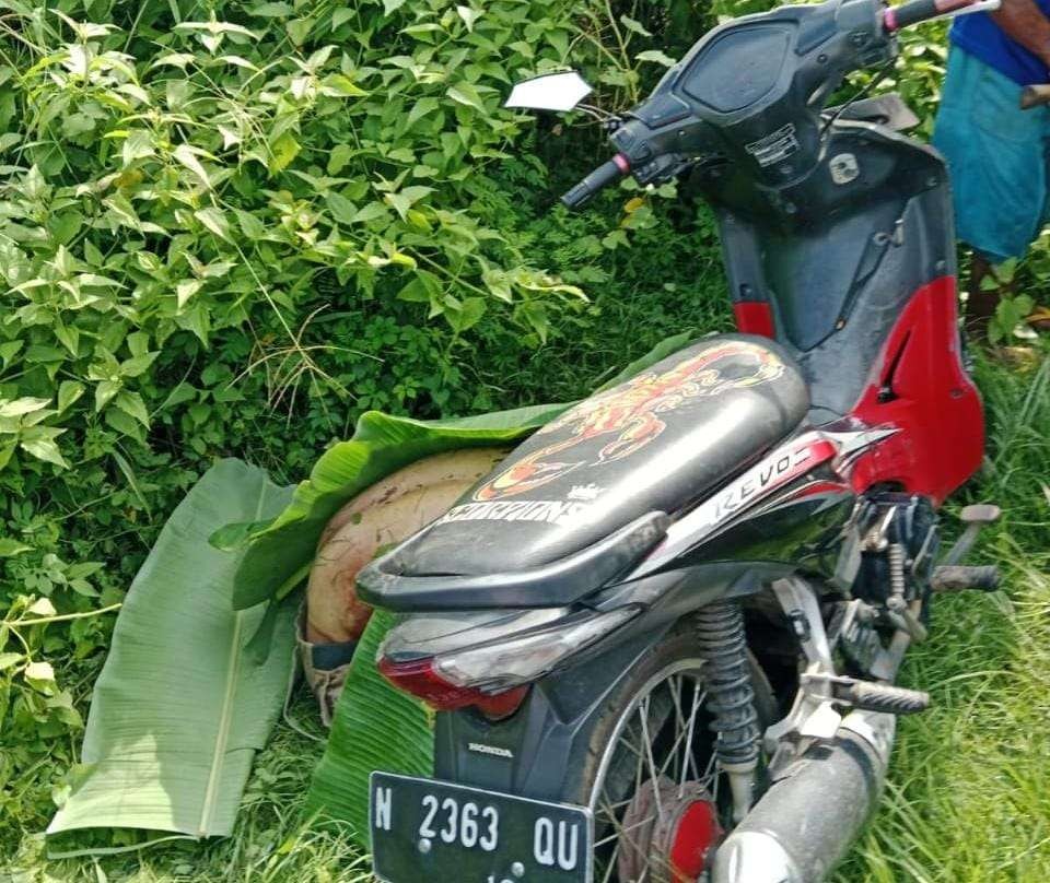 Mayat Saifullah, 28 tahun, warga Desa Pajarakan Kulon, Kecamatan Pajarakan, Kabupaten Probolinggo yang ditemukan di semak-semak. (Foto: Istimewa)