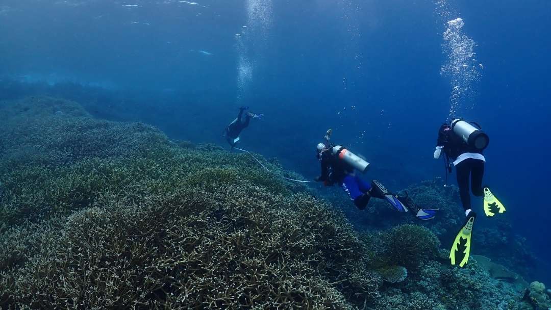 Para penyelam dari Balai Kawasan Konservasi Perairan Nasional (BKKPN) Kupang, NTT,melakukan penilaian di karang di kawasan konservasi laut di Gili Trawangan, NTB.(Foto: dok. kkp)