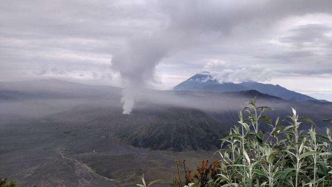 Wisata Gunung Bromo ditutup secara total selama Nyepi. (Foto: X)