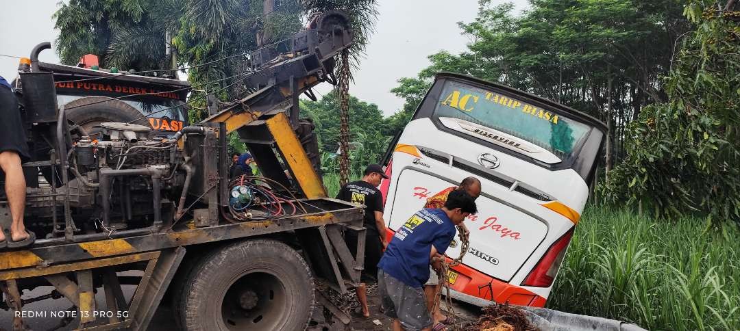 Bus Harapan Jaya terperosok ke sawah, usai terlibat kecelakaan dengan mobil Innova. Sejumlah penumpang bus alami luka-luka. (Foto: Fendhy Lesmana/Ngopibareng.id)