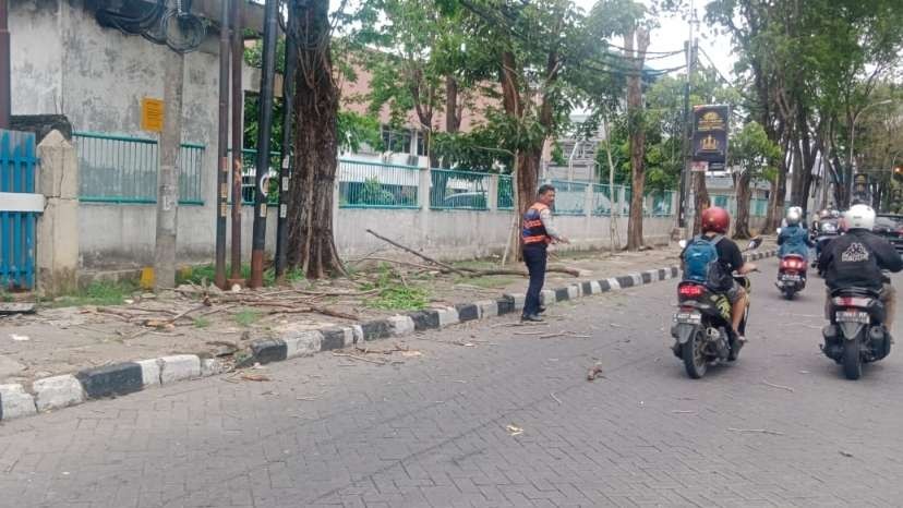 Sejumlah ranting yang jatuh menimpa pengendara di kawasan SIER, Surabaya, Sabtu 9 Maret 2024. (Foto: Istimewa)