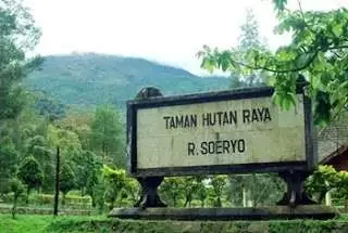 Tahura-R-Soeryo yang berada di dalam kompleks gunung Arjuno-Welirang-Anjasmoro. (Foto:http://inaforester.blogspot.com)
