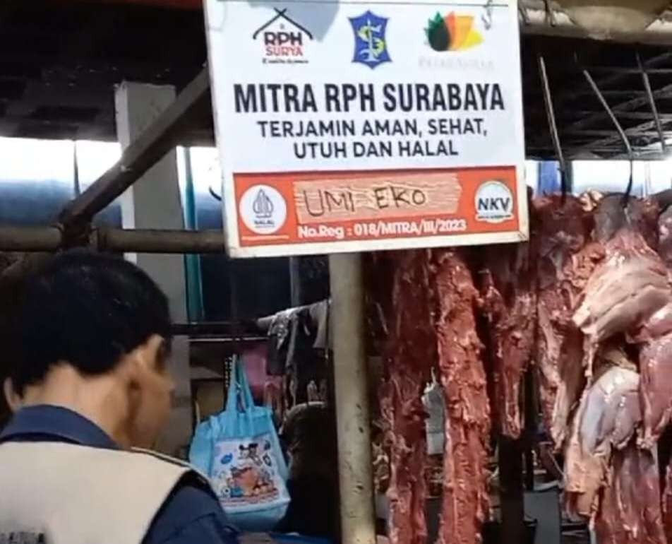RHP Kota Surabaya menyiapkan 9 ton daging sapi selama Ramdhan dan Idul Fitri. (Foto: Dok RPH)