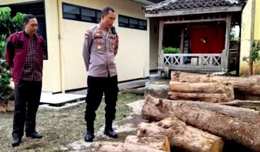 Gelondong kayu jati diamankan di Polsek Klabang Bondowoso. (Foto: Guido/Ngopibareng.id)