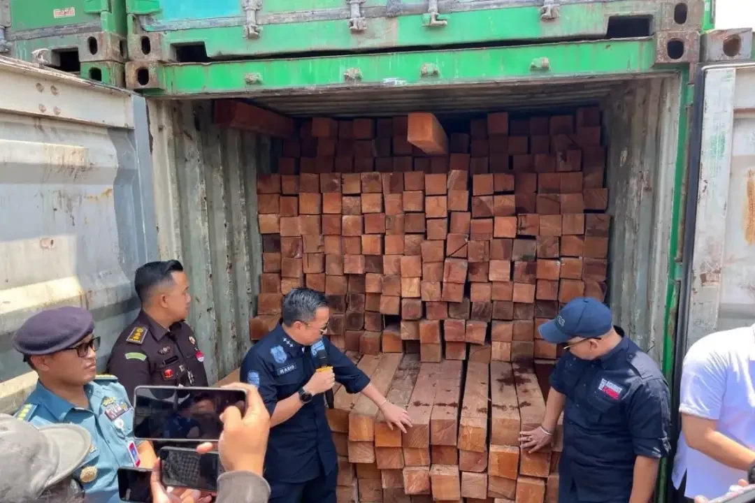 KLHK berhasil mengamankan 55 Kontainer berisi kayu olahan di Pelabuhan Teluk Lamong, Surabaya. (Foto: Dok KLHK)