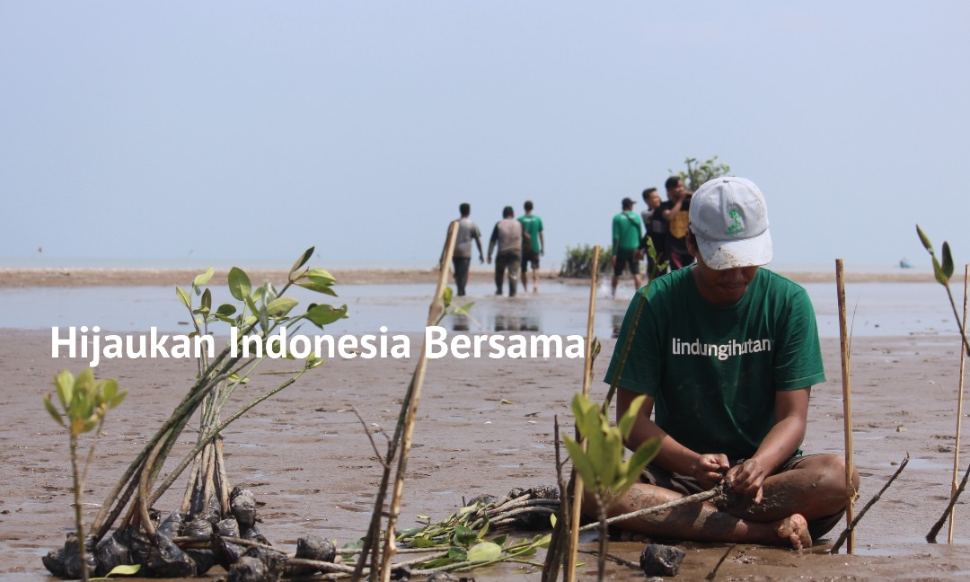Kampanye penghijauan Kota Surabaya yang dilakukan Wisma Jerman, bekerjasama dengan Kairen Ecosolution dan LindungiHutan. (Foto: Humas Wisma Jerman)