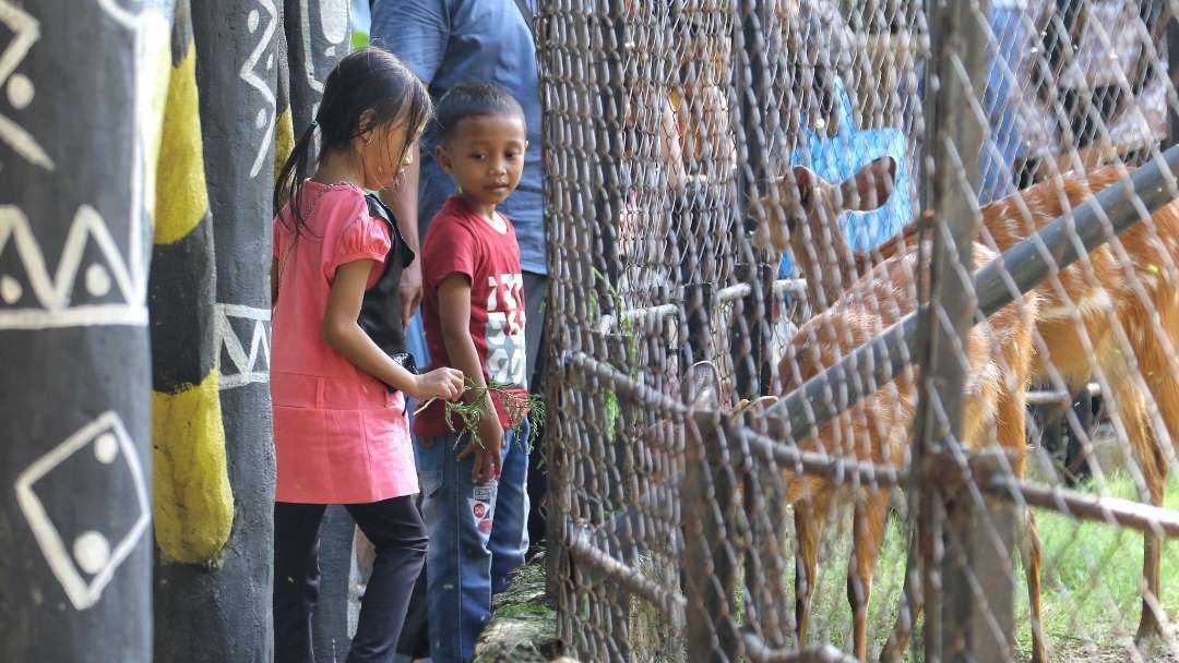 Anak-anak antusias memberikan makan satwa saat berlibur di Kebun Binatang Surabaya, Minggu 14 April 2024. (Foto: Fariz Yarbo/Ngopibareng.id)