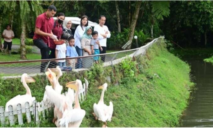 Presiden Joko Widodo bersama Ibu Iriana Joko Widodo menikmati nuansa alam dan wisata satwa di The Hill Hotel and Resort, Kabupaten Deli Serdang, Provinsi Sumatra Utara ( Foto: BPMI Setpres)